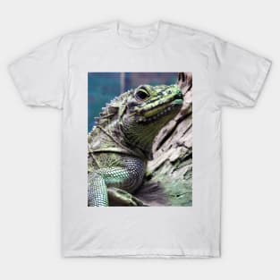Sailfin Lizard T-Shirt